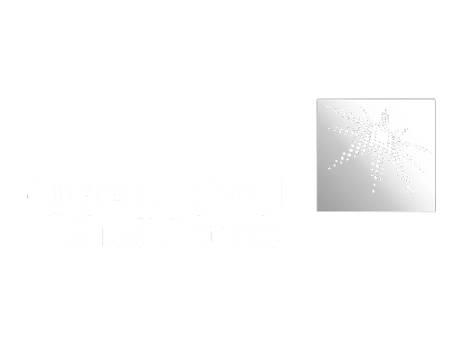 Saudi aramco
